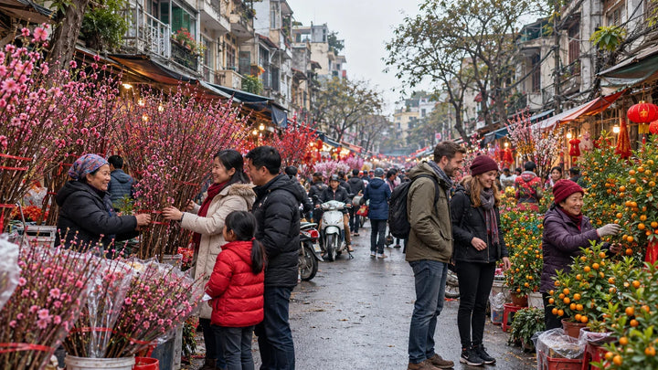 2027 河内春节怎么玩？花市、庙会、店家营业与 5 天行程
