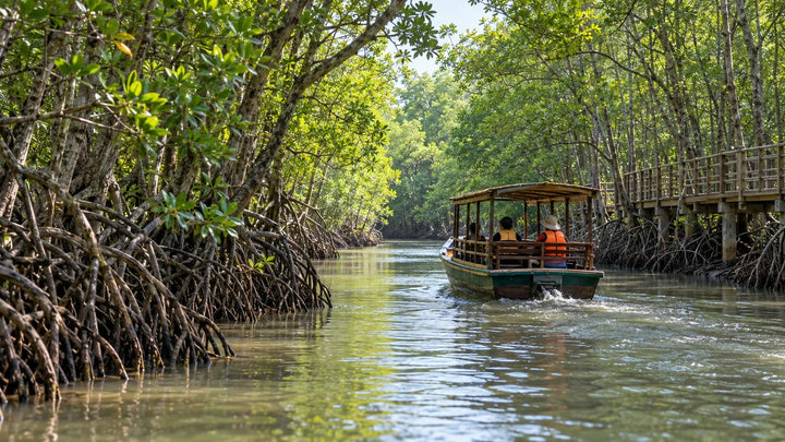 芹耶红树林潮汐水道与穿救生衣的生态船旅客