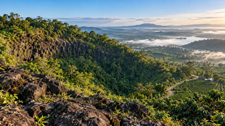 嘉莱Chu Dang Ya火山高原咖啡园与湖景