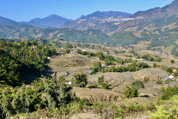 沙坝山谷梯田与远处村落的实景