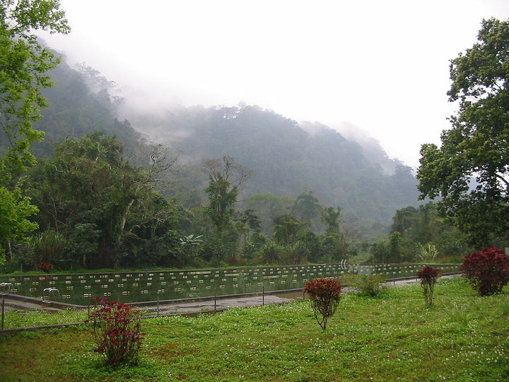 菊芳國家公園實景