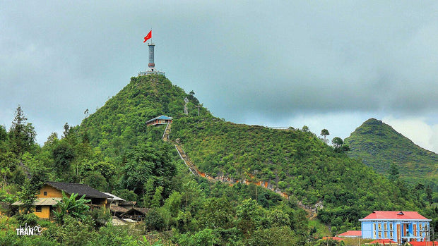 龍鼓旗塔實景