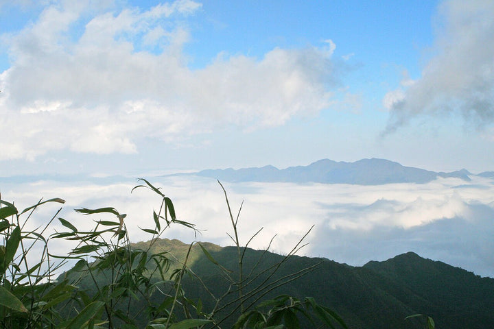 沙壩番西邦峰實景