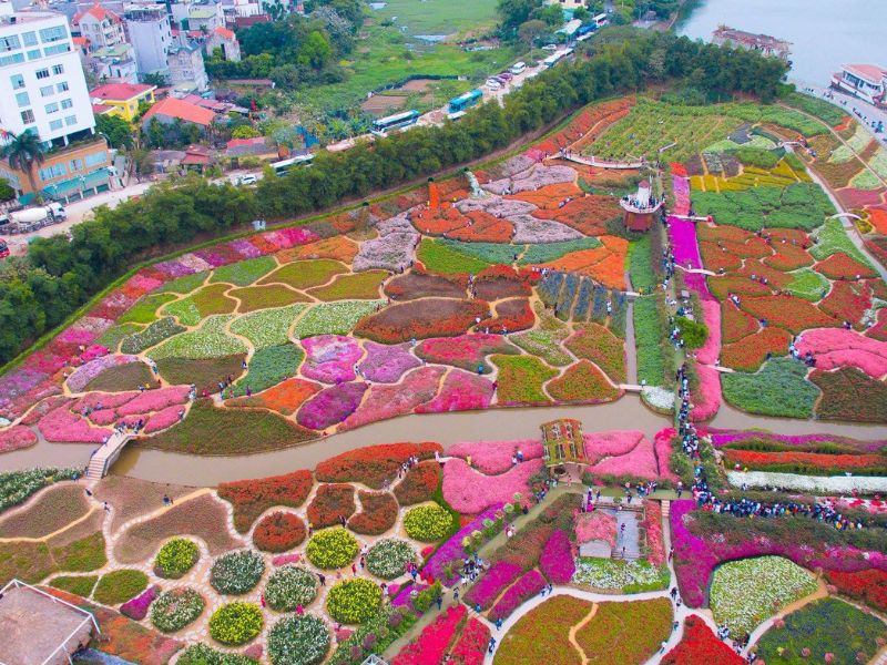 西湖花谷的花田與園區全景