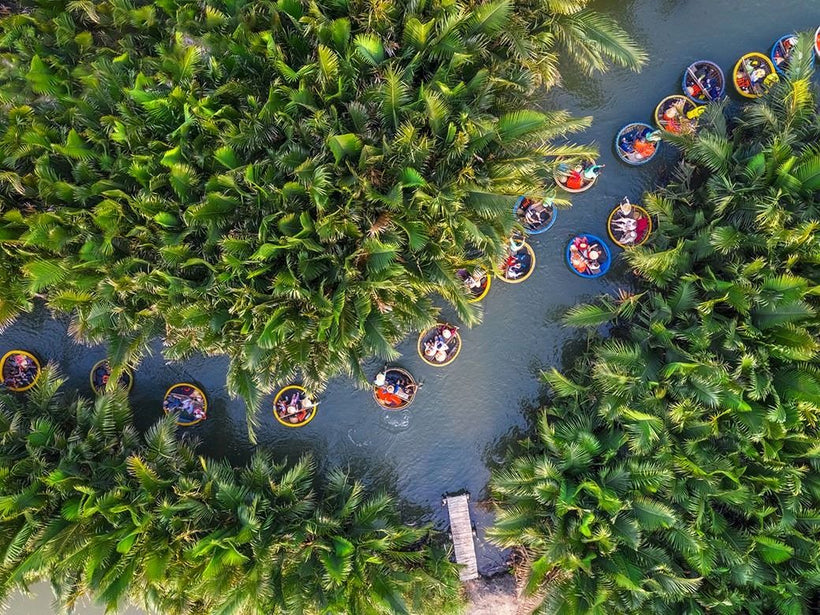 錦清水椰林的水道與竹籃船
