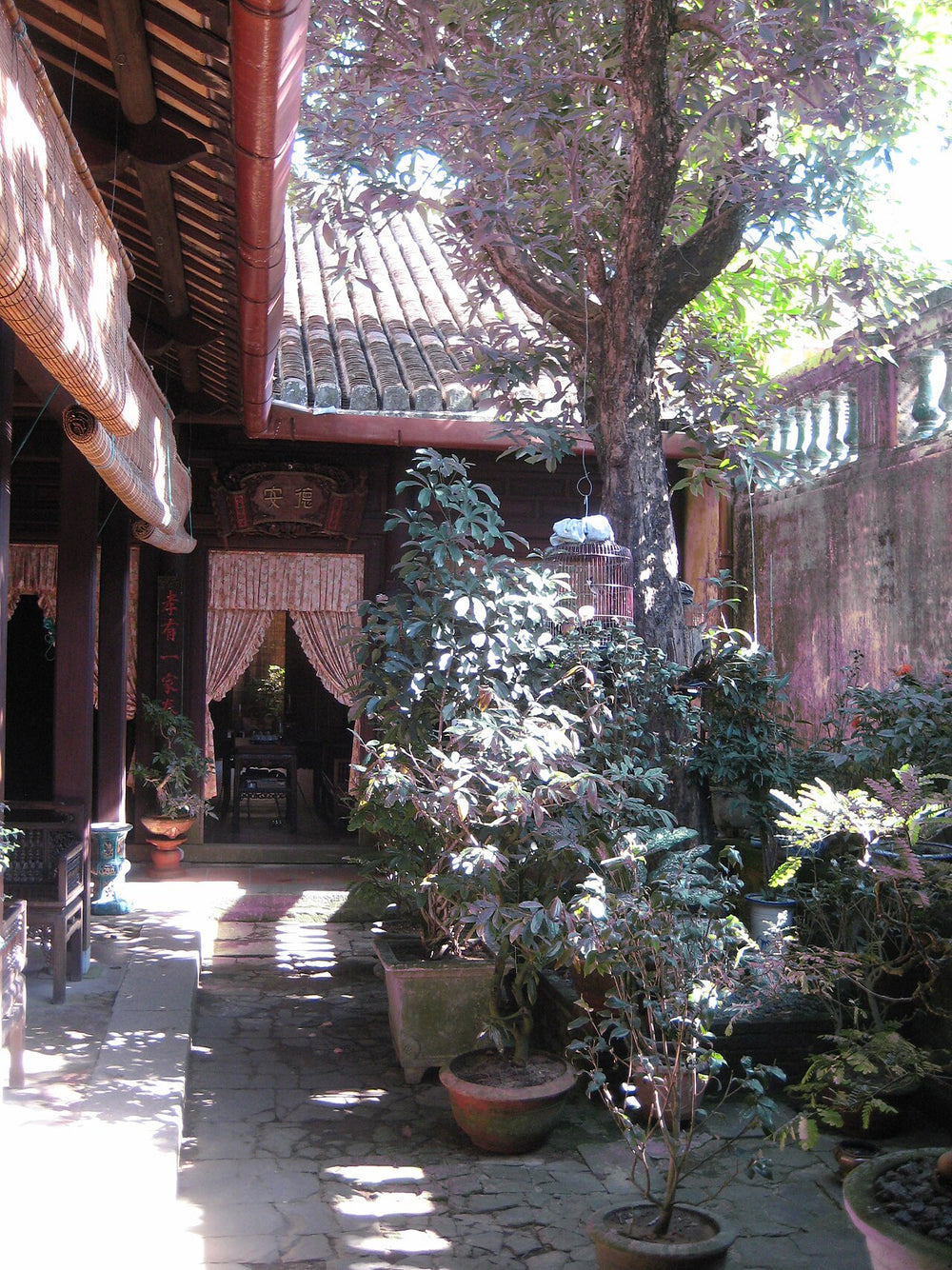 會安古鎮實景照片：1 Hội An Jardin intérieur