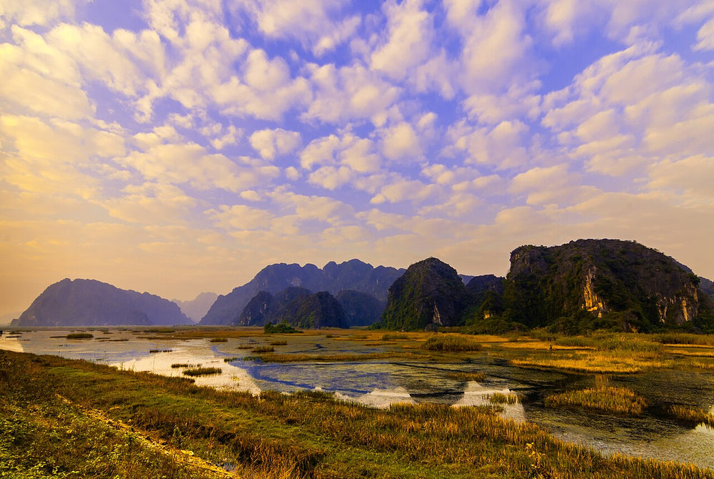 雲龍自然保護區實景照片：Van Long Swamp (24135913297)