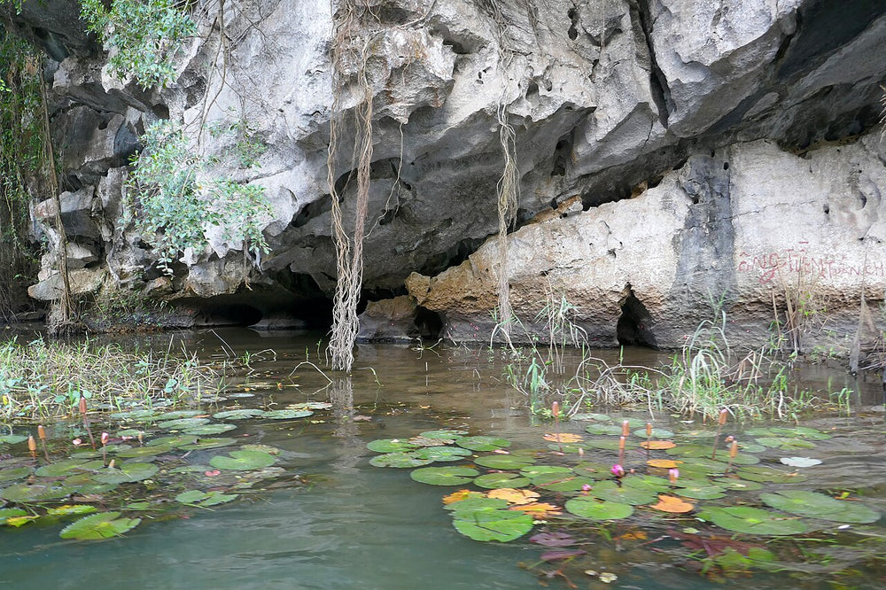 三谷遊船實景照片：Grotte et nénuphars à Tam Coc (2)