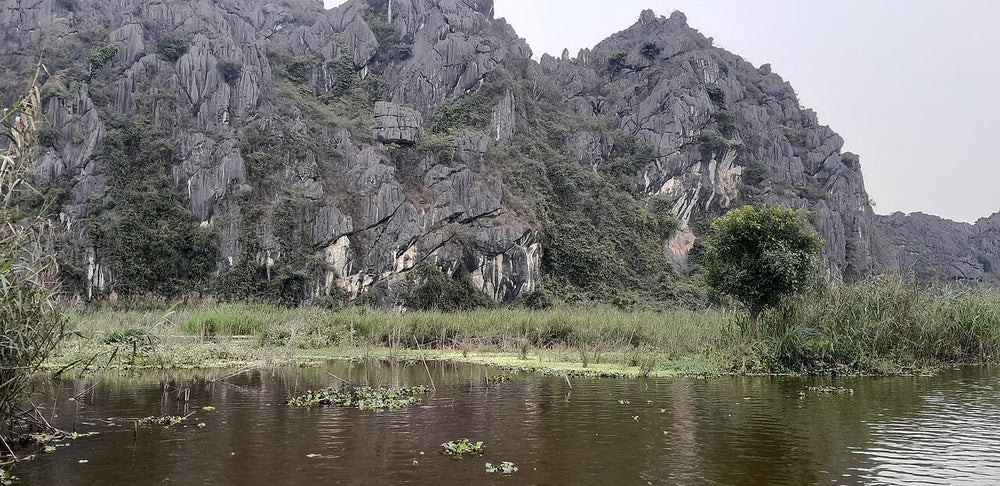 雲龍自然保護區實景照片：Van Long Nature Reserve Lowland Wetland Halong Bay Ninh Binh Limestone Karst Red River Delta (36883)