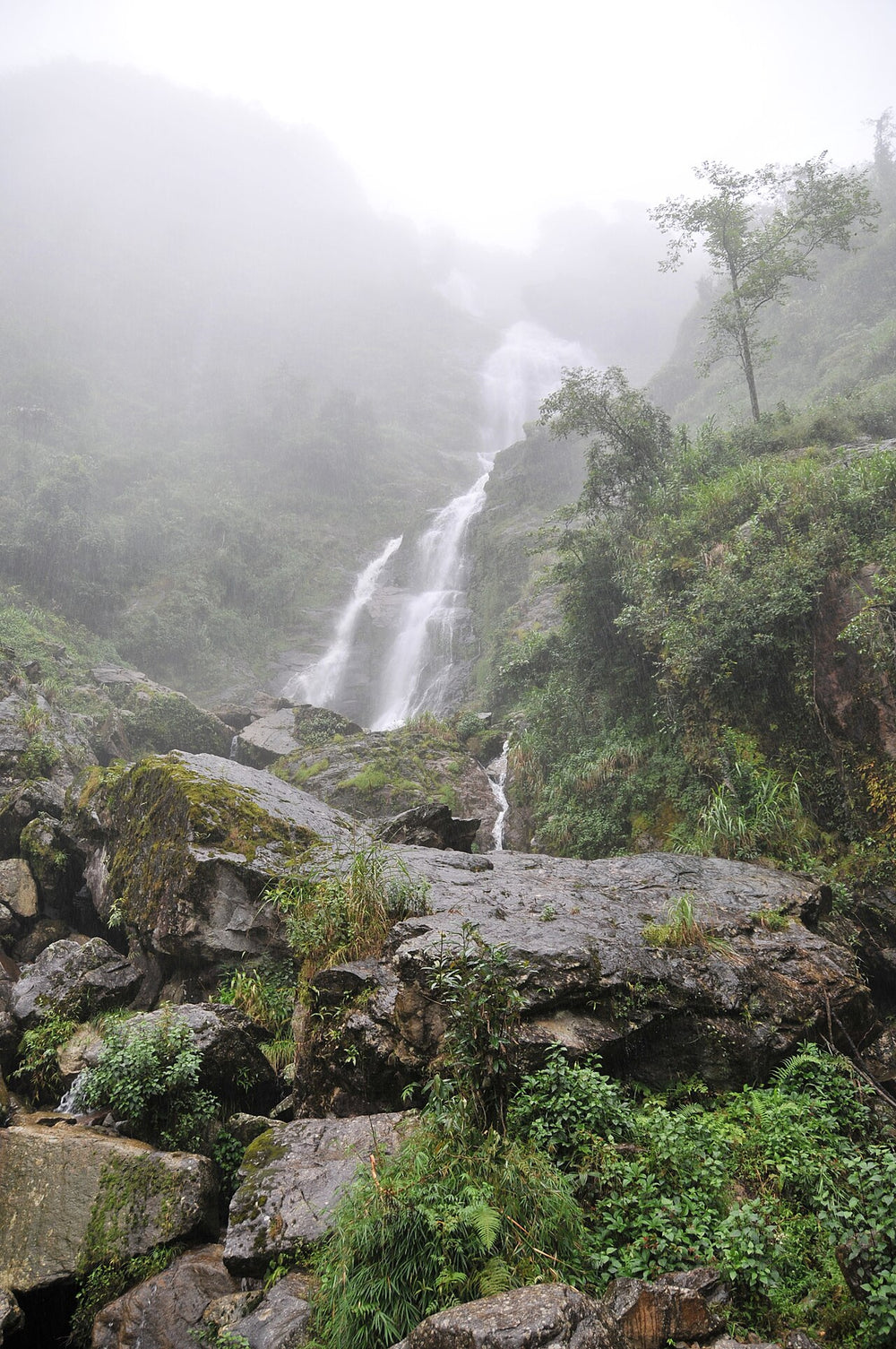 沙壩銀瀑布實景照片：Thác bạc, cầu may - panoramio