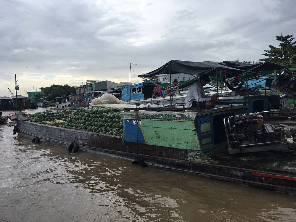 芹苴丐冷水上市場實景照片：Cai Rang Floating Market 2