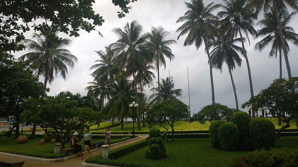 前灘海濱公園的棕櫚樹與步道