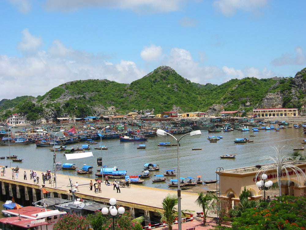 吉婆島實景照片：Gia Luan harbour in Cat Ba