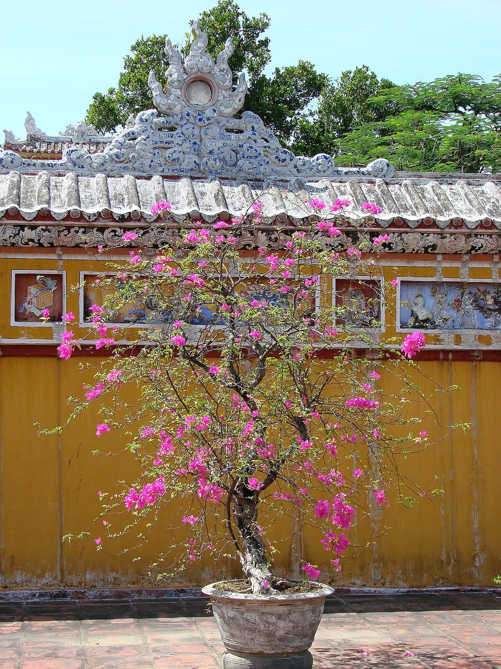 順化皇城實景照片：Hue - Citadel - Royal Enclosure 01
