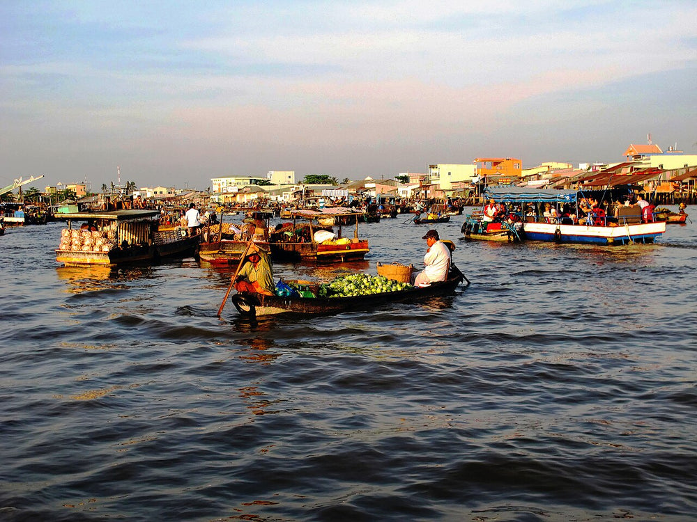 芹苴丐冷水上市場實景照片：Floating Market Can Tho1