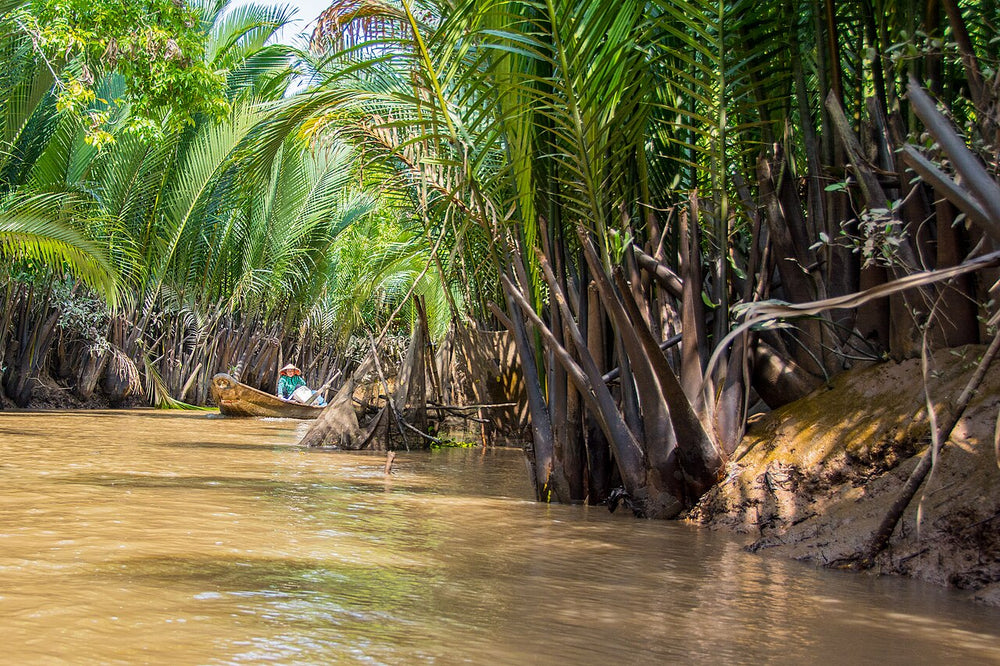 美托與檳椥湄公河行程實景照片：Canal in Mekong Delta - My Tho - Vietnam (15726848817)