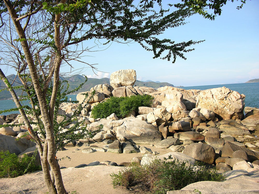 鍾嶼石岬實景照片：Hon Chong seen from the hill