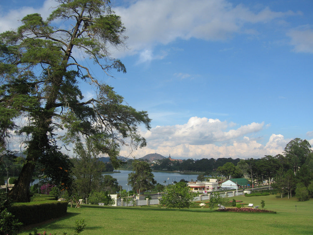 春香湖實景照片：Da Lat, view to Xuan Huong lake