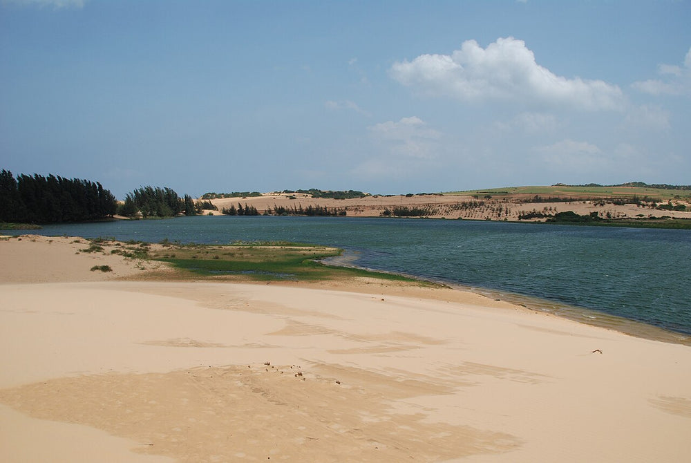 美奈白沙丘實景照片：Hòa Thắng, tp. Phan Thiết, Bình Thuận, Vietnam - panoramio (15)