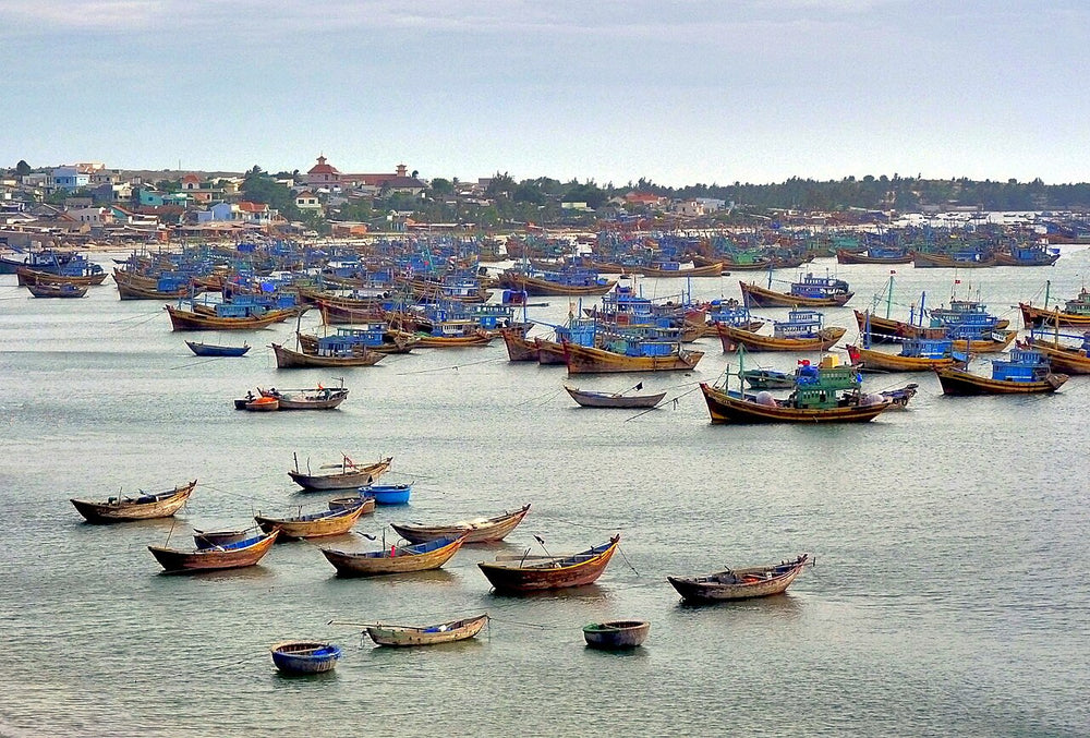 美奈漁村實景照片：Fishing Boats, Mui Ne