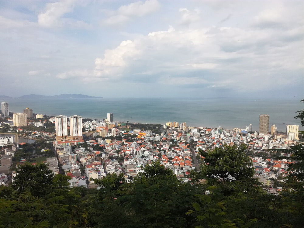 頭頓燈塔周邊的城市和海灣視野