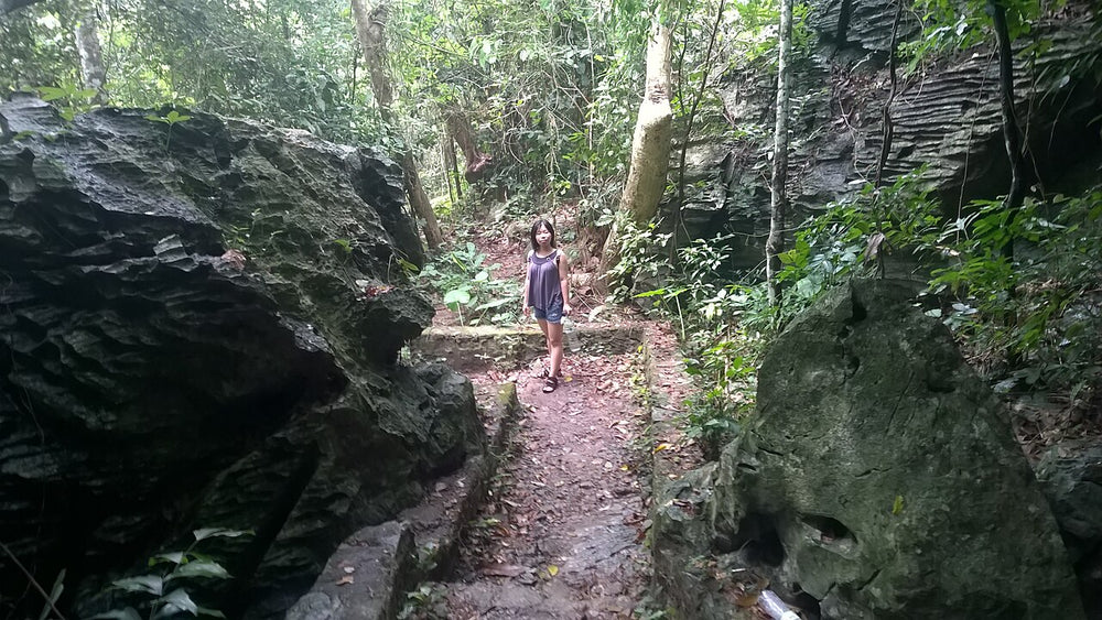 吉婆島實景照片：Mountain and cave park of Cat Ba island in 2015 16