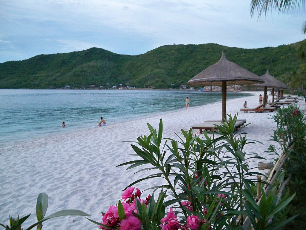 芽莊 VinWonders 珍珠島樂園實景照片：Vinpearl Land Beach