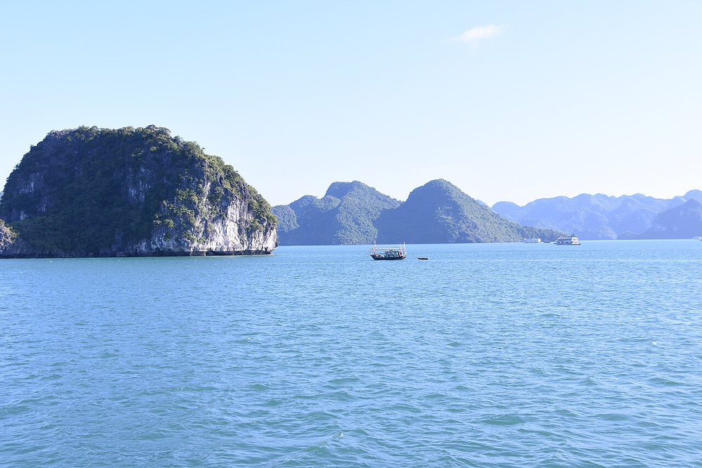 下龍灣海灣巡遊實景照片：A local fishing craft and it's trailer amongst the karsts- the trailer looks almost microscopic! (31263639110)