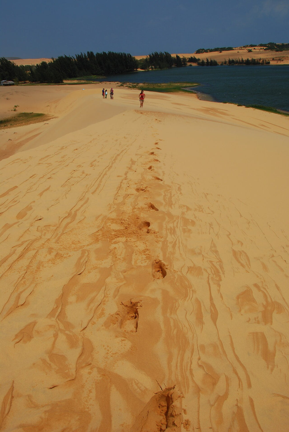 美奈白沙丘實景照片：Hòa Thắng, tp. Phan Thiết, Bình Thuận, Vietnam - panoramio (18)