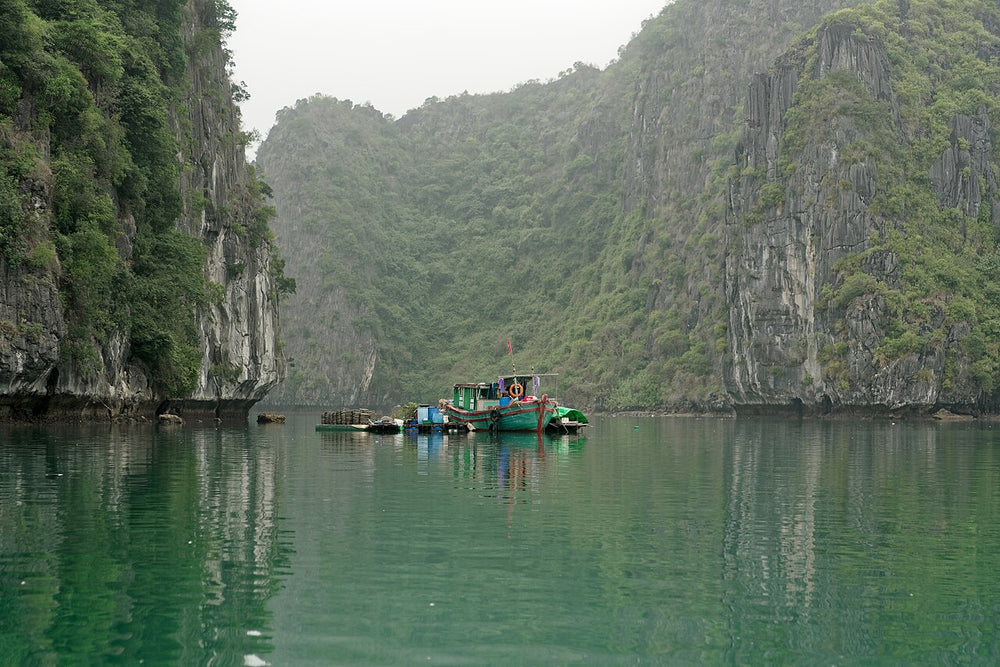 吉婆島實景照片：Cat Ba Island, Vietnam, 20240131 1407 4670