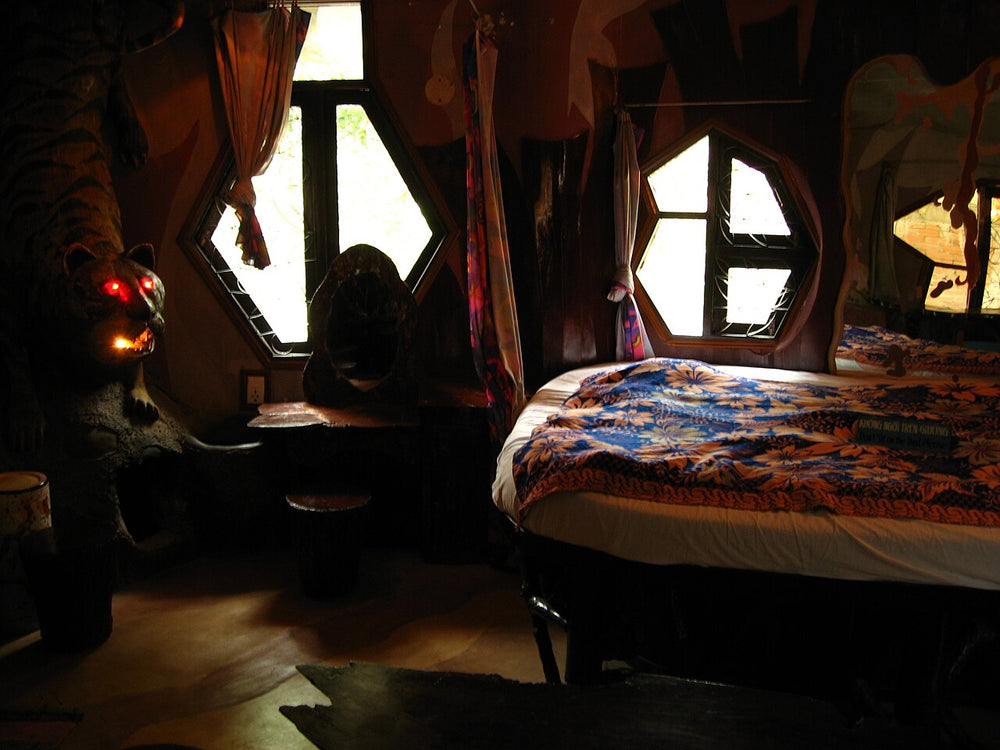 大叻瘋狂屋實景照片：Hang Nga guesthouse 2