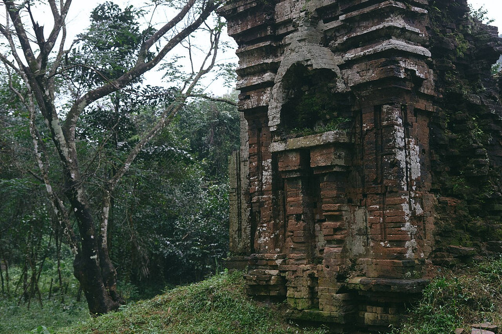 美山聖地實景照片：My Son Sanctuary, Vietnam, 2017 (52416167185)