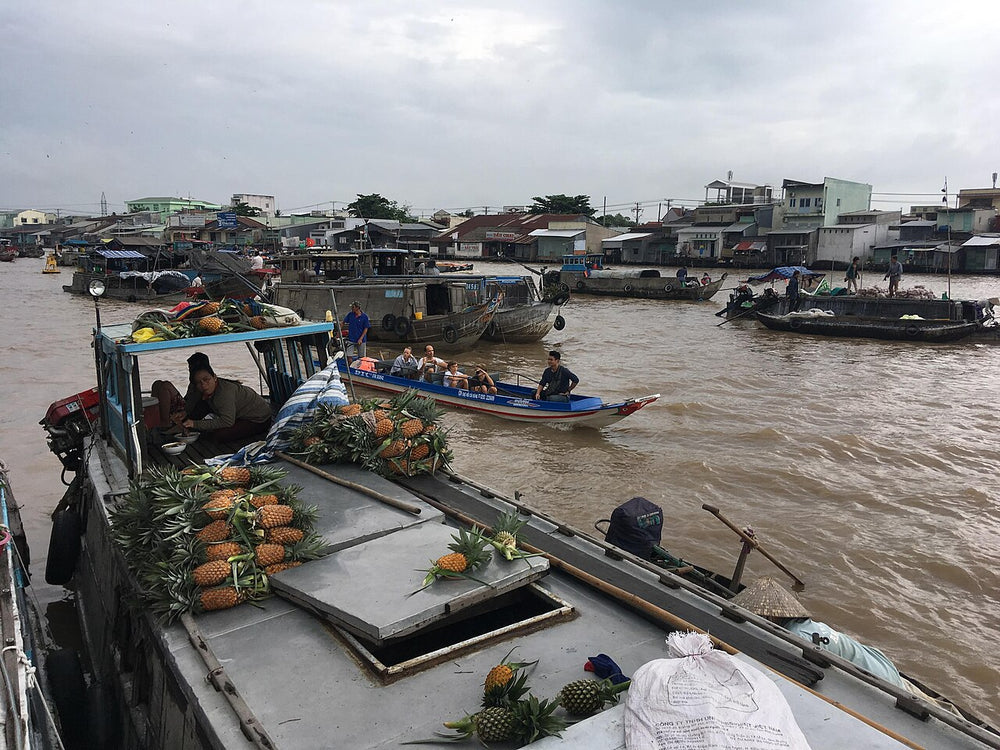 芹苴丐冷水上市場實景照片：Cai Rang Floating Market 5