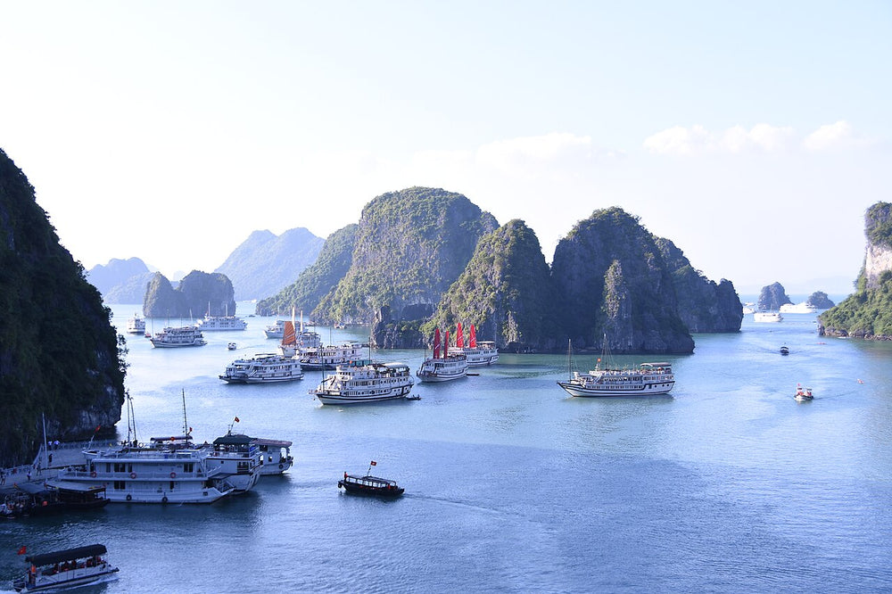 下龍灣海灣巡遊實景照片：A view of Ha Long Bay from the high point of Sun Sot cave (31520203451)