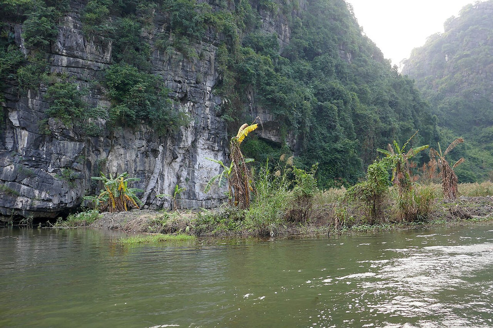 三谷遊船實景照片：Bananiers à Tam Coc