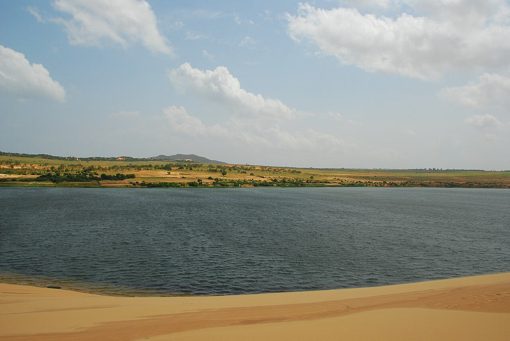 美奈白沙丘實景照片：Hòa Thắng, tp. Phan Thiết, Bình Thuận, Vietnam - panoramio (14)