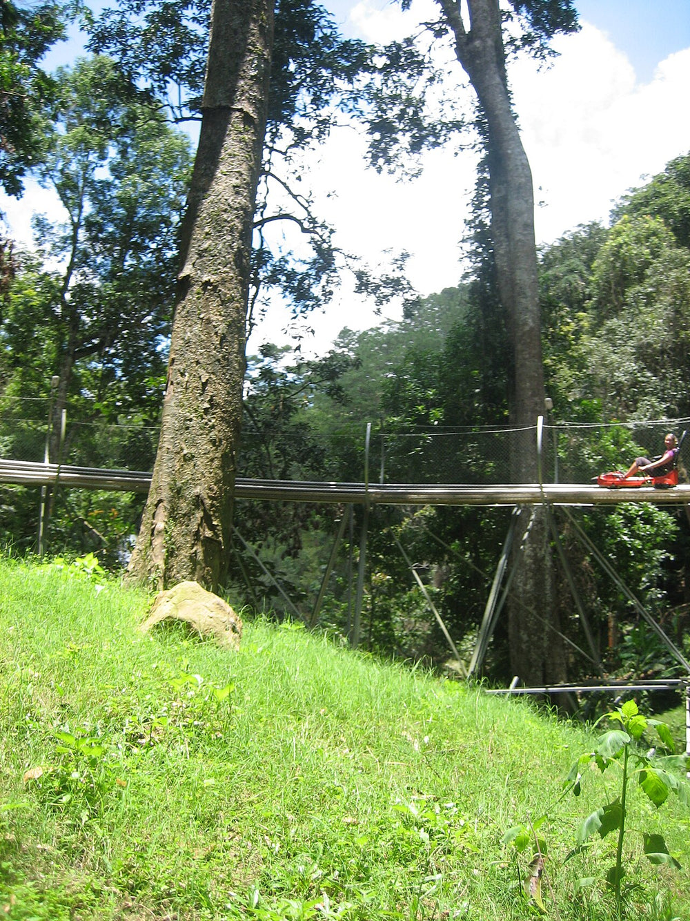 達坦拉瀑布實景照片：Alpine Sled, Datanla Waterfall, 01