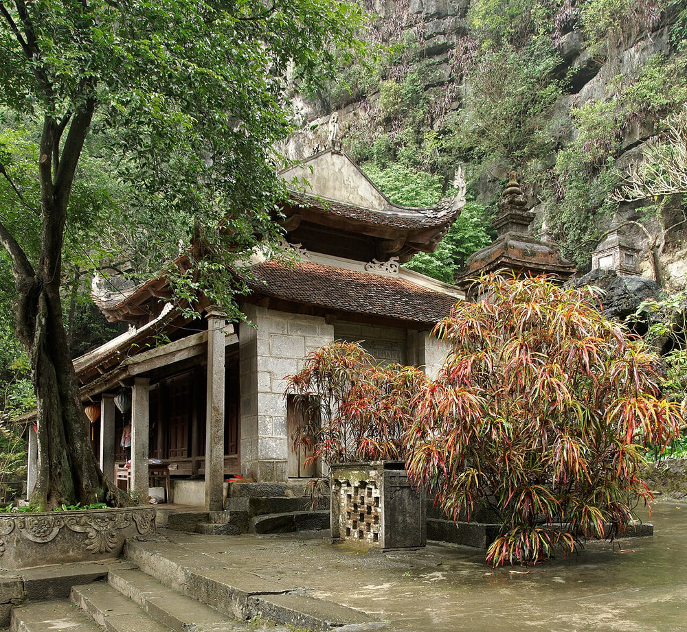 碧洞寺實景照片：Bich Dong Pagoda, Ninh Binh, Vietnam, 20240203 1126 5619