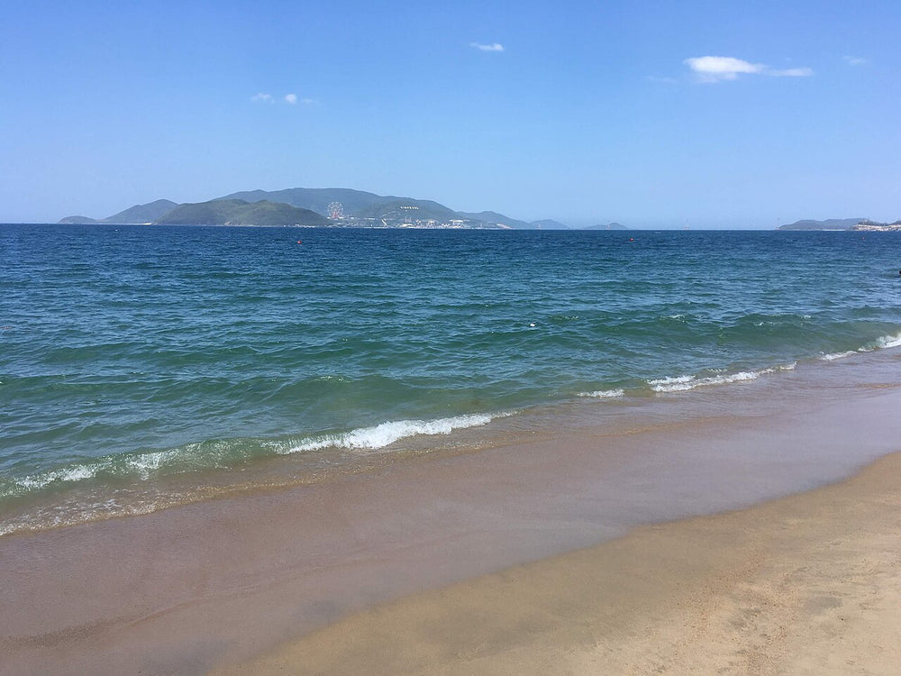 芽莊陳富海灘實景照片：Nha Trang Beach 1