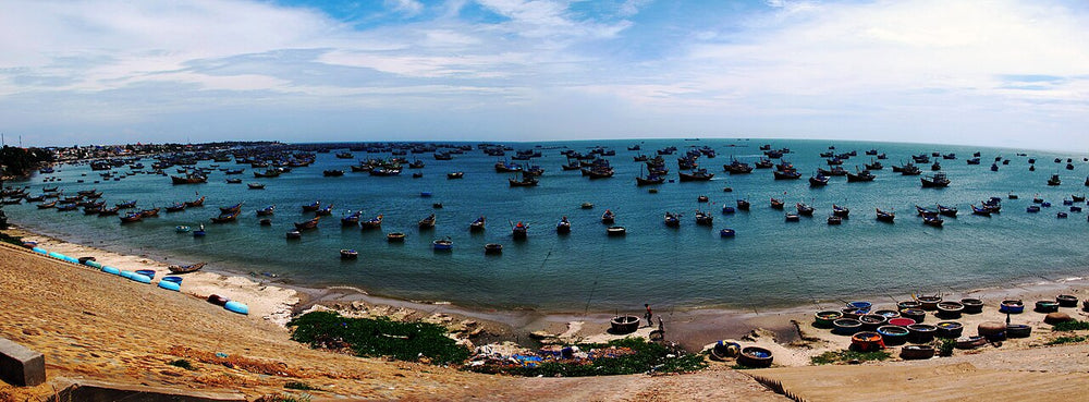 美奈漁村實景照片：Mui Ne panorama