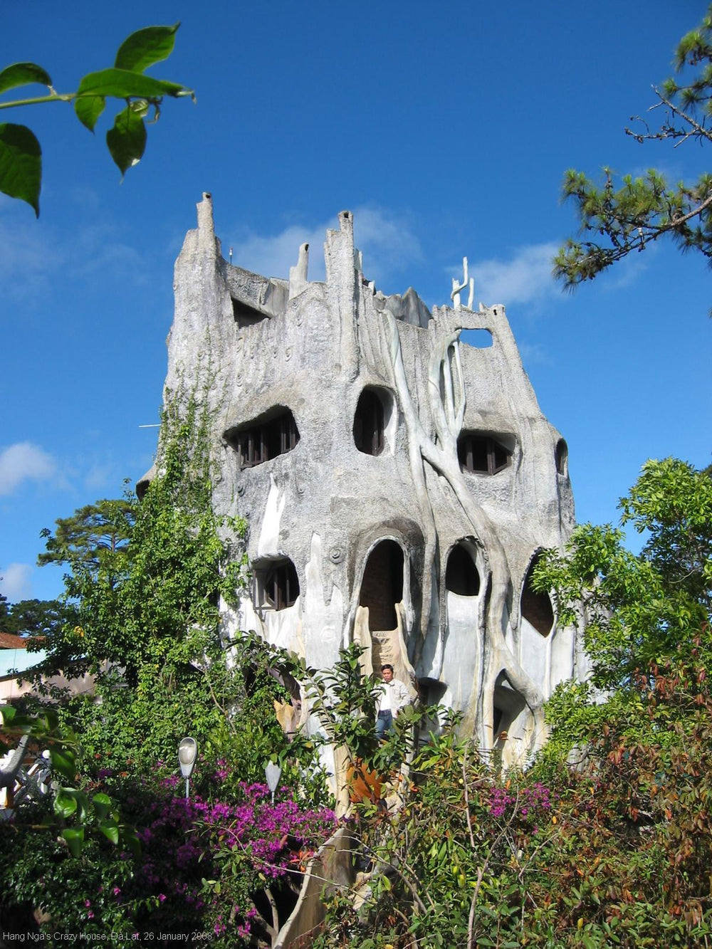 大叻瘋狂屋實景照片：HangNgaCrazyHouse3