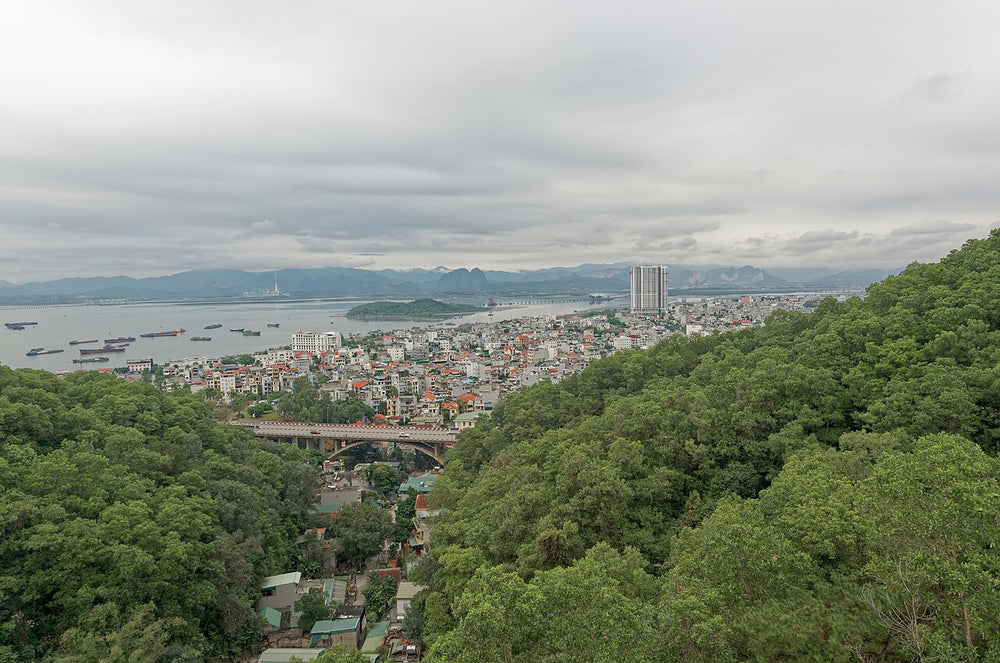 下龍灣 Sun World 太陽世界實景照片：View of Ha Long town from Sun World Halong Park, Vietnam, 20240129 1519 4173