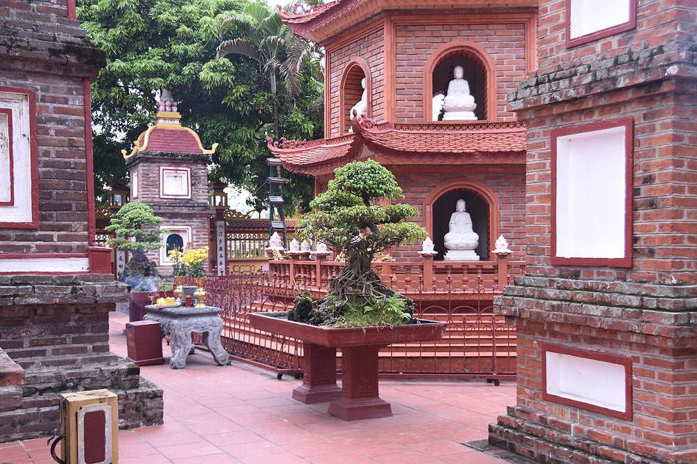 鎮國寺實景照片：Area with shrines for the ashes of departed monks (31454177605)