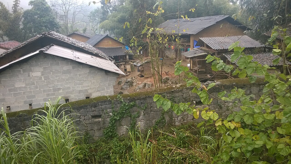 王氏宅邸屋瓦與周邊庭園