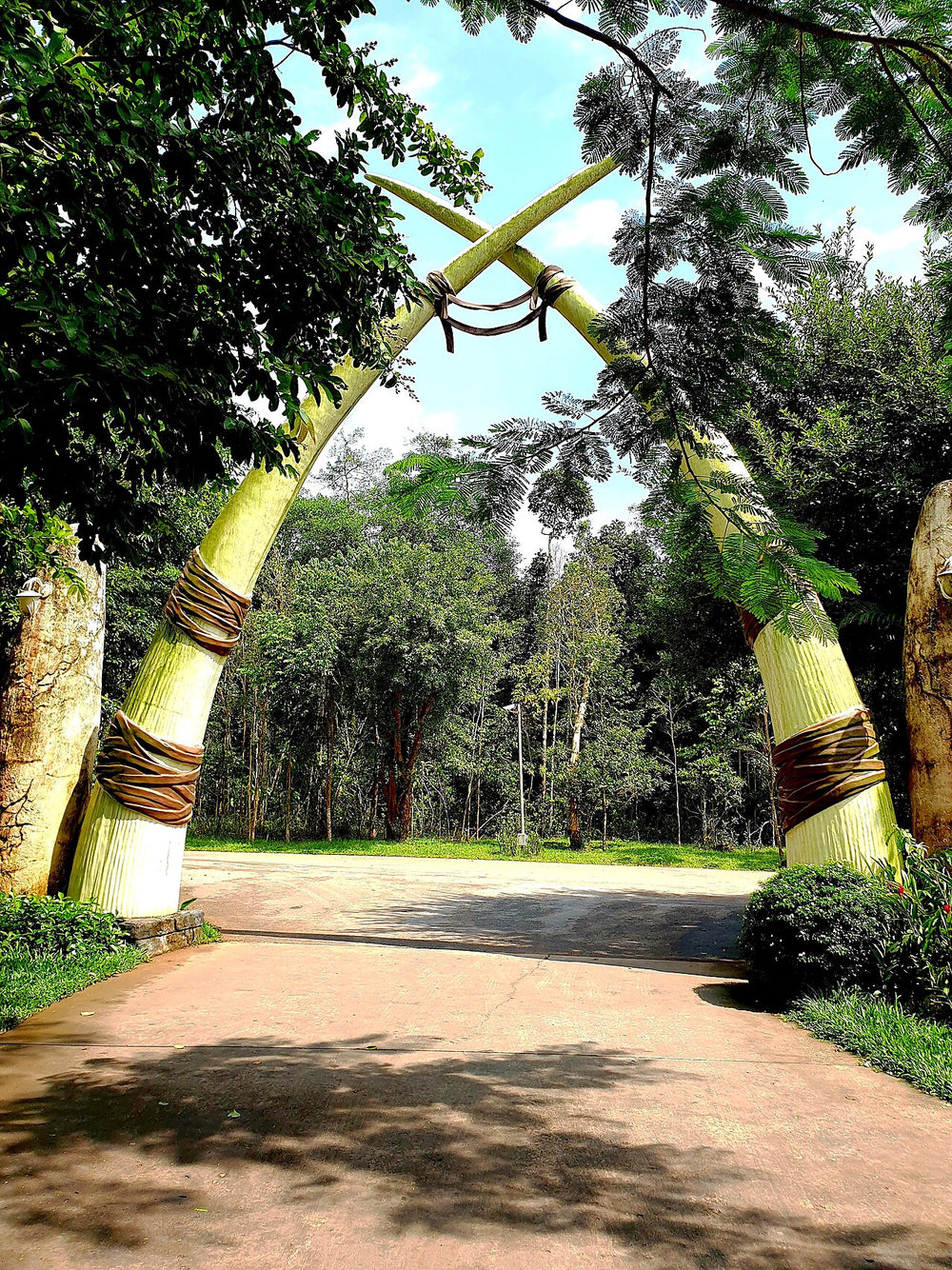 富國島 Vinpearl Safari 野生動物園實景照片：PQ 2022, Công viên hoang dã (Khu châu Phi, cổng ngà voi) (3)
