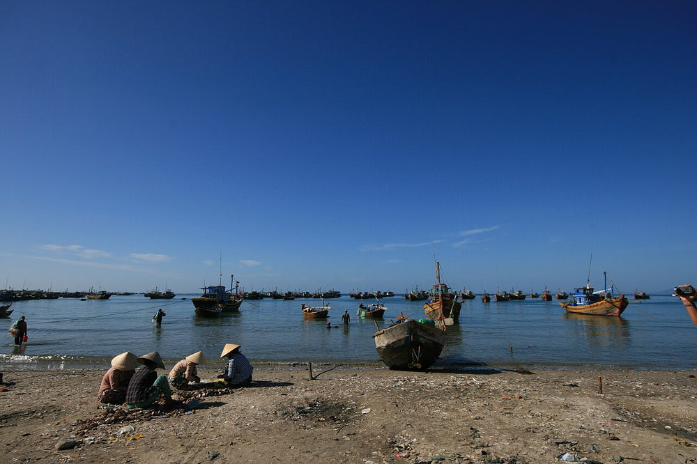 美奈漁村實景照片：Harbor of Mui Ne 1