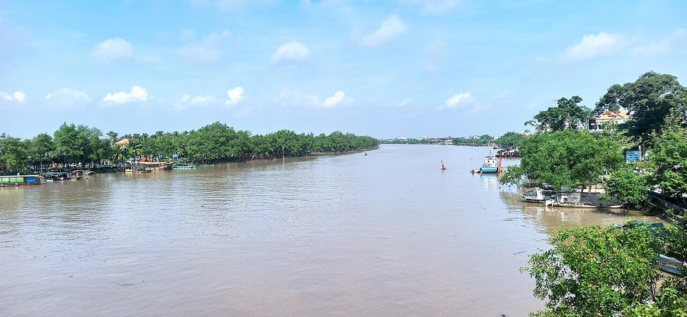 美托與檳椥湄公河行程實景照片：Ben Tre River