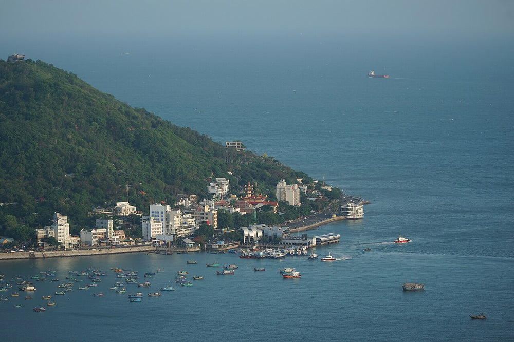 從大山望向前灘港灣
