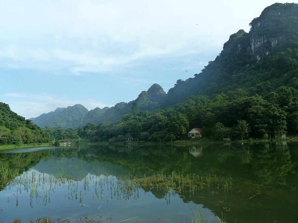 菊芳國家公園實景照片：Parque Nacional de Cuc Phuong (5182009321)