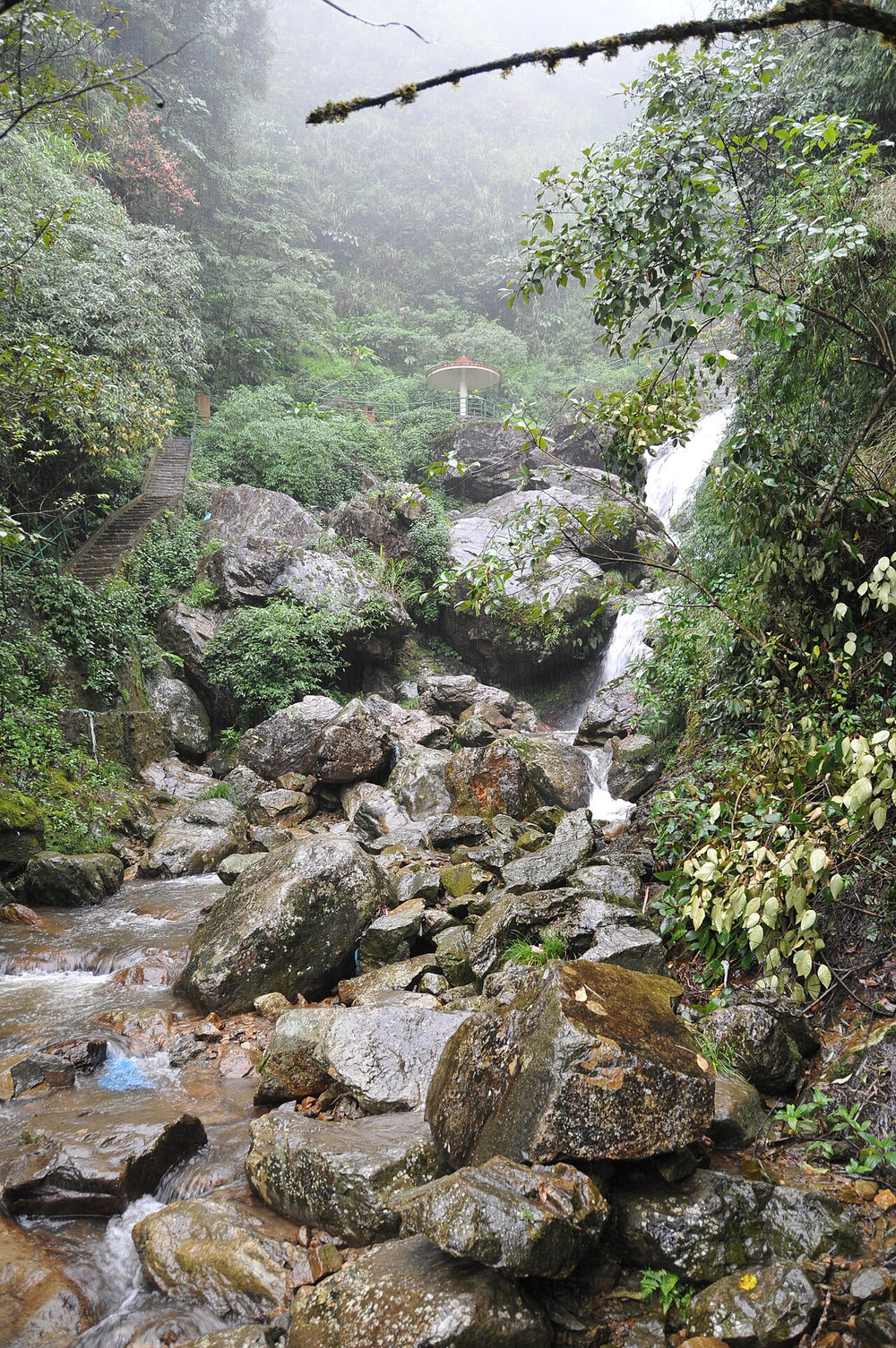 沙壩銀瀑布實景照片：Thác bạc - panoramio